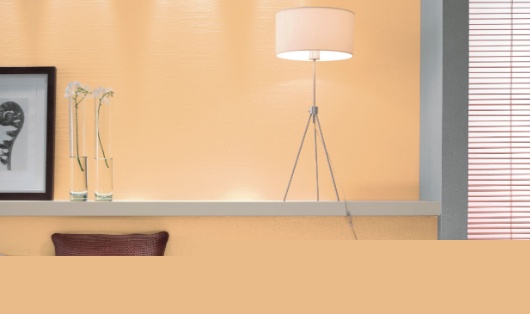 header.png